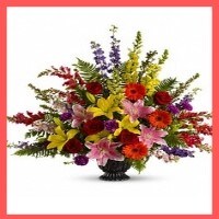For The Service Image